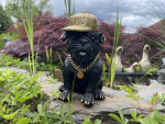 Mops Deko Hund Cap Goldkette Ohrring