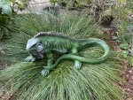Leguan Eidechse Deko Gartenfigur