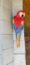 Papagei ARA ROT Deko Gartenfigur zur Wandbefestigung