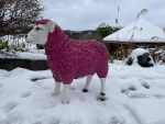 Schaf Bunt Farbe Pink Handbemalt Wetterfest